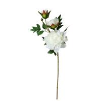 HTI-Living Pfingstrose Weiß 74 cm Kunstblume Flora weiß