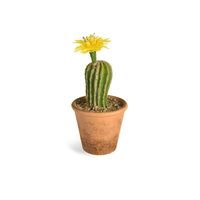 DEPOT Kaktus im Topf mit Blüte ca.D8,5xH, gelb