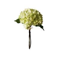 HTI-Living Kunstblume Hortensie, Weiß-Grün Flora weiß