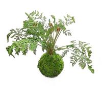 HTI-Living Kunstpflanze Farn-Busch Flora grün