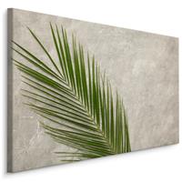 Karo-art Schilderij - Palm Blad op een betonnen achtergrond, 5 maten