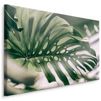 Karo-art Schilderij - Close up Monstera Blad, Groen, Premium Print