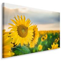 Karo-art Schilderij - Prachtige zonnebloemen veld, premium print