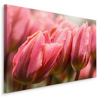 Karo-art Schilderij - Roze tulpen, premium print