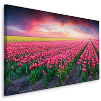 Karo-art Schilderij - Bloeiend tulpen veld, premium print