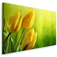Karo-art Schilderij - Gele tulpen groene achtergrond, premium print