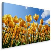 Karo-art Schilderij - Gele tulpen, premium print