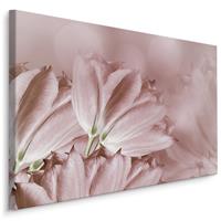 Karo-art Schilderij - Pastel roze tulpen, premium print