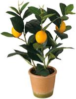 BOLTZE Kunstpflanze Zitronenbaum, Höhe 32cm mehrfarbig