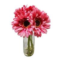 HTI-Living Margeritenstrauß in Vase Kunstblume Flora pink