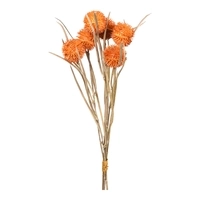 DEPOT Blumenbündel Thorn ca. 40cm, orange