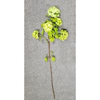 HTI-Living Kunstblume Hortensie Flora gelb/grün