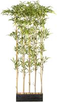 Creativ Green Künstliche Zimmerpflanze Bambusraumteiler, (1 St.), im Holzkasten