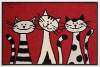 Wash+dry by Kleen-Tex Fußmatte »Three Cats«, , rechteckig, Höhe 9 mm, Schmutzfangmatte, Motiv Katzen, rutschhemmend, In- und Outdoor geeignet, waschbar
