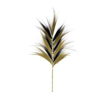 Dijk natural collections Pluim gras naturel L118cm zwart-naturel