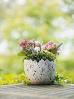 HOME Living Pflanzer Eierschale Blumentöpfe grau/weiß