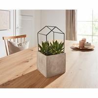 HOME Living Pflanzer SPAR-SET 2x Betonhaus Blumentöpfe grau/schwarz