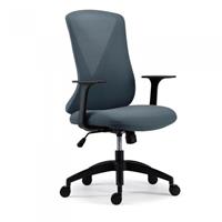 FlexiSpot BackSupport Bürostuhl BS9, Stuhl mit ergonomischen Design in Graublau
