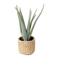 Xenos Aloe vera kunstplant - 33 cm