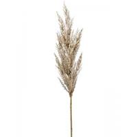 Plantenwinkel.nl Grass Pampas Cream M 92 cm kunsttak per 1 stuks