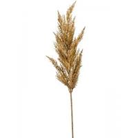Plantenwinkel.nl Grass Pampas Beige M 92 cm kunsttak per 1 stuks