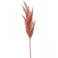 Plantenwinkel.nl Grass Pampas Pink M 92 cm kunsttak per 1 stuks
