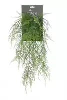 Louis Maes Kunsthangplant Asparagus l54cm groen header