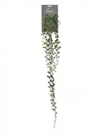 Louis Maes Kunsthangplant Dischidia l105cm groen