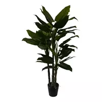 Noach Philodendron - 195 cm
