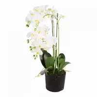 Lesli Living Kunstplant Phalaenopsis 5-tak 68cm wit