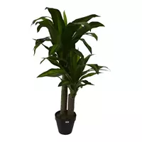 Louis Maes Kunstplant Dracaena fragans in pot h90cm groen