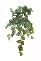 Louis Maes Kunst hangplant Scindapsus l65cm grn hdr