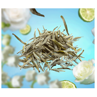 LAMPE BERGER - Parfums - Parfum 0,5L Pure White Tea