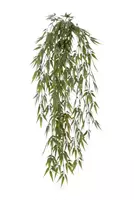 Louis Maes Kunst hangplant Bamboerank l85cm groen