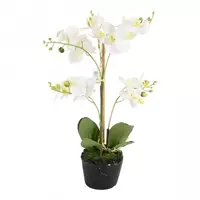 Noach Outdoor Kunstplant orchidee mini wit - 3 tak h38cm