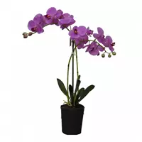 Noach Outdoor Kunstplant orchidee roze - 2 tak h53cm