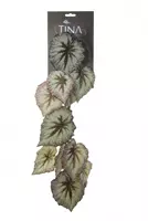 Louis Maes Kunsthangplant Begonia l90 grn/bruin header