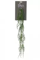 Louis Maes Kunst hangplant wortel hder groen l75cm