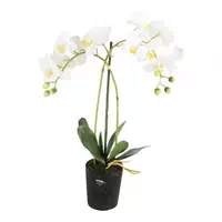 Noach Outdoor Kunstplant orchidee wit - 2 tak h53cm