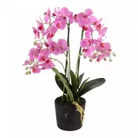 Noach Outdoor Kunstplant orchidee roze - 5 tak h68.5cm