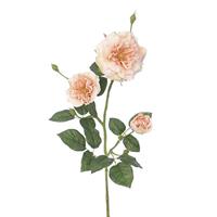 Buitengewoon de Boet Rozentak zalm roze