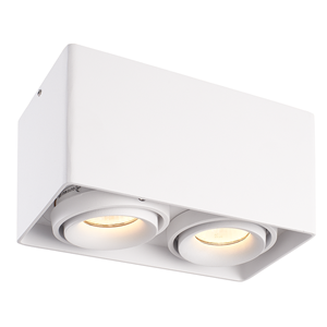 HOFTRONICâ¢ Dimbare LED opbouw plafondspot Esto Wit 2 lichts IP20 kantelbaar excl. lichtbron