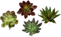 I.Ge.A. Kunstpflanze Dekorative Sukkulenten, (4 St.), 4er Set, kÃ¼nstliche Pflanzen, Sukkulenten, Aloe, Agave, Kaktus