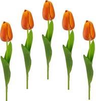 I.GE.A. Kunstblume Â»Real Touch TulpenÂ«, , HÃ¶he 67 cm, 5er Set kÃ¼nstliche Tulpenknospen, Kunstblumen, Stielblume