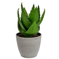 Ibergarden Kunstpflanze Aloe Vera 23 X 14 Cm Grau/grÃ¼n