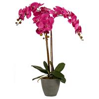 Ibergarden KÃ¼nstliche Orchidee Blumentopf Jumbo 88 Cm Fuchsia/anthrazit