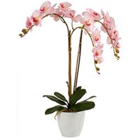 Ibergarden KÃ¼nstliche Orchidee Blumentopf Jumbo 88 Cm Hellrosa/weiÃŸ