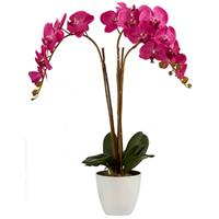 Ibergarden KÃ¼nstliche Orchidee Blumentopf Jumbo 88 Cm Fuchsia/weiÃŸ