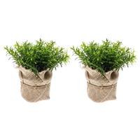 Bellatio Voordeelset van 5x stuks kunstplantjes tijm kruiden groen in jute pot 16 cm -