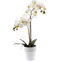 Witte orchidee Orchidaceae kunstplant in kunststof pot 65 cm -